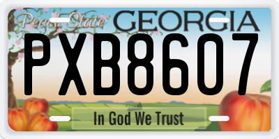 GA license plate PXB8607