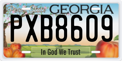 GA license plate PXB8609
