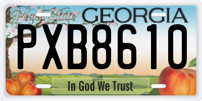 GA license plate PXB8610