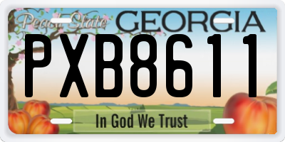 GA license plate PXB8611
