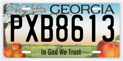 GA license plate PXB8613