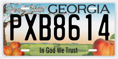 GA license plate PXB8614