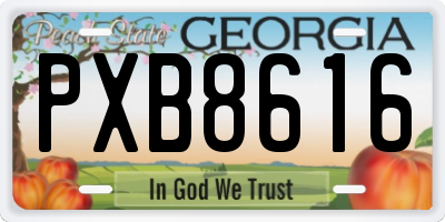 GA license plate PXB8616