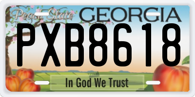 GA license plate PXB8618