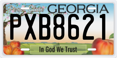 GA license plate PXB8621