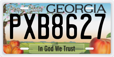 GA license plate PXB8627