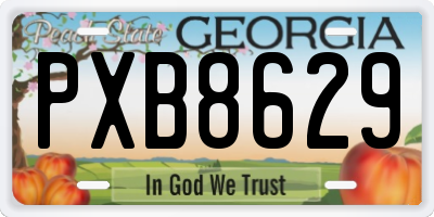 GA license plate PXB8629
