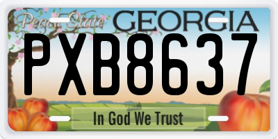 GA license plate PXB8637