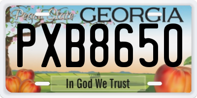 GA license plate PXB8650