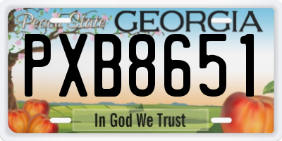 GA license plate PXB8651