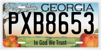 GA license plate PXB8653