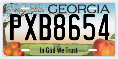 GA license plate PXB8654