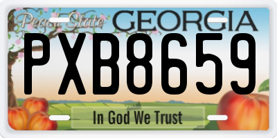 GA license plate PXB8659
