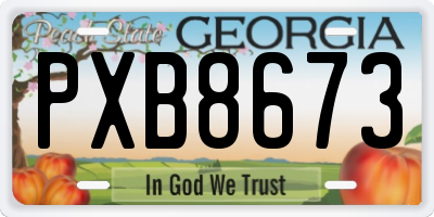 GA license plate PXB8673