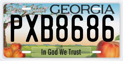 GA license plate PXB8686