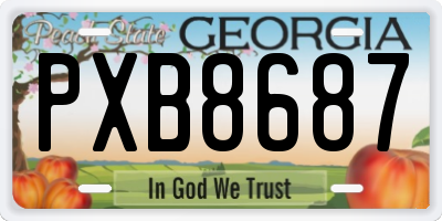 GA license plate PXB8687