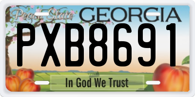 GA license plate PXB8691