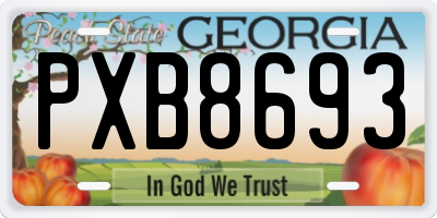 GA license plate PXB8693