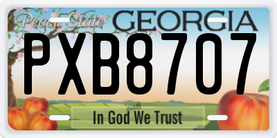 GA license plate PXB8707