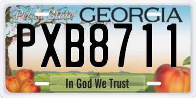 GA license plate PXB8711