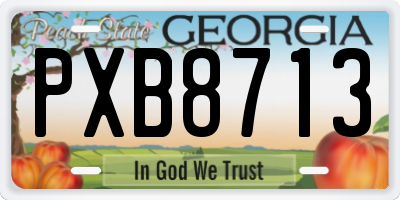 GA license plate PXB8713