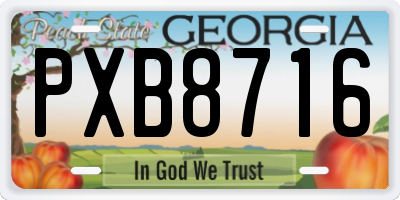 GA license plate PXB8716