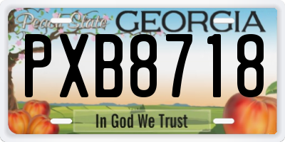 GA license plate PXB8718