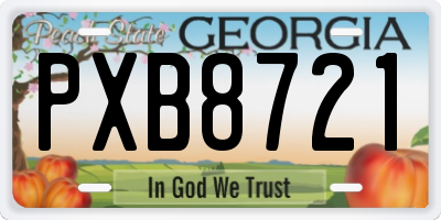 GA license plate PXB8721