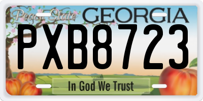 GA license plate PXB8723
