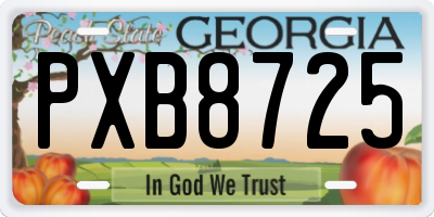 GA license plate PXB8725