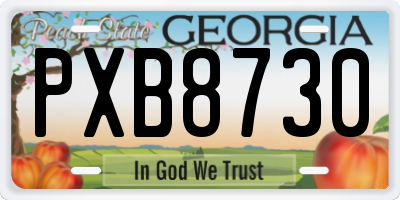 GA license plate PXB8730
