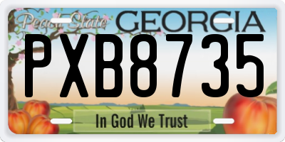 GA license plate PXB8735