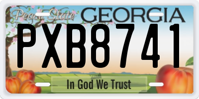 GA license plate PXB8741