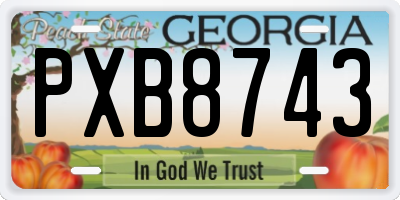 GA license plate PXB8743
