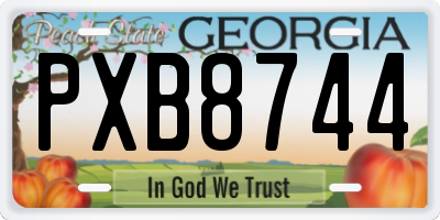 GA license plate PXB8744