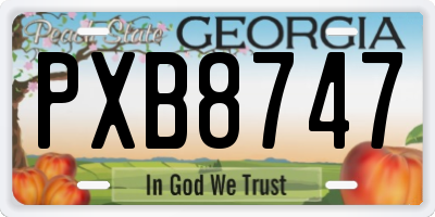 GA license plate PXB8747