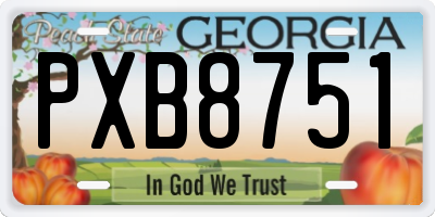 GA license plate PXB8751