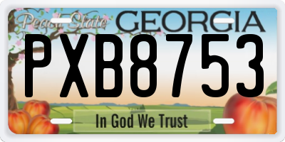 GA license plate PXB8753
