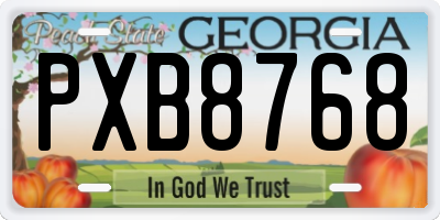 GA license plate PXB8768
