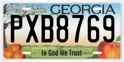 GA license plate PXB8769