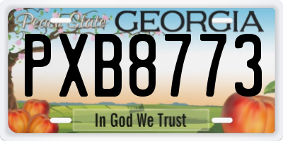 GA license plate PXB8773