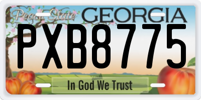 GA license plate PXB8775