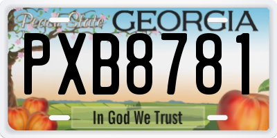 GA license plate PXB8781