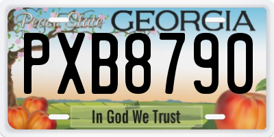 GA license plate PXB8790