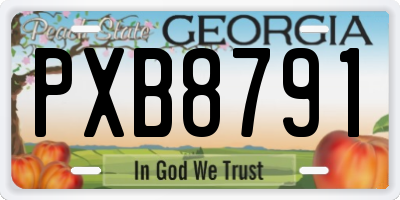 GA license plate PXB8791