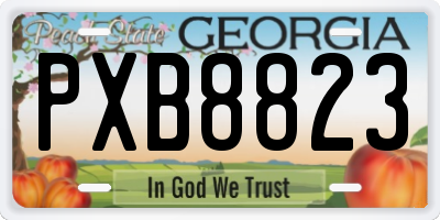 GA license plate PXB8823