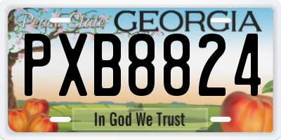 GA license plate PXB8824