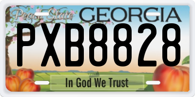 GA license plate PXB8828