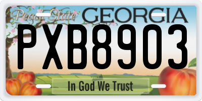 GA license plate PXB8903