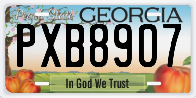 GA license plate PXB8907